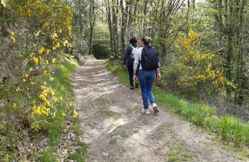 Grp de sevre et maine boucle du vignoble