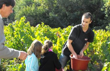 Guide-groupes-2018-levignobledenantes-visite-musee-ateliers-vendanges©pahvn.