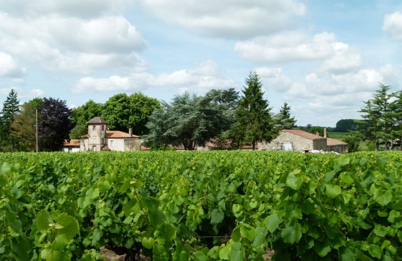 GuideGroupe2018-degustation-prestige-chateau-chasseloir1-st-fiacre-levignobledenantes