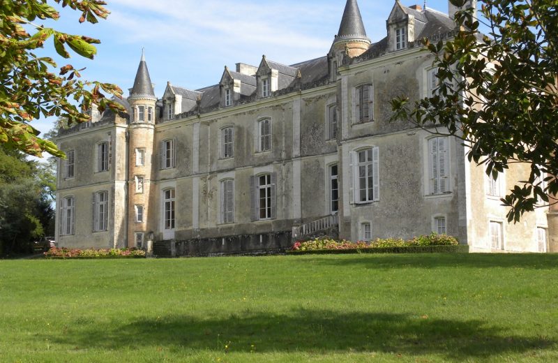 Dégustation prestige au chateau du coing le vignoble de nantes