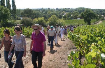 GuideGroupe2018-randonnee-patrimoine-vignoble-bords-de-moine-clisson-levignobledenantes