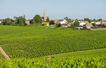 journee Groupe-echapee belle-vignoble-nantes