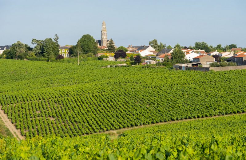 journee Groupe-echapee belle-vignoble-nantes