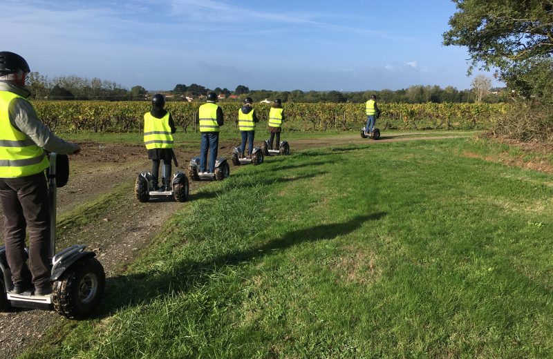 balade gyropode dans les vignes activites groupes adultes le vignoble de nantes