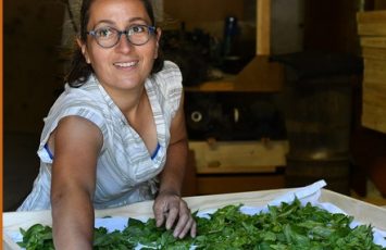 Herborescence_StLumine_2025_DestinationVignobleNantais.com