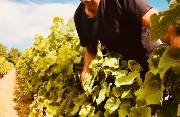 Domaine Bruno Cormerais