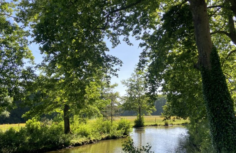 L’Etang
