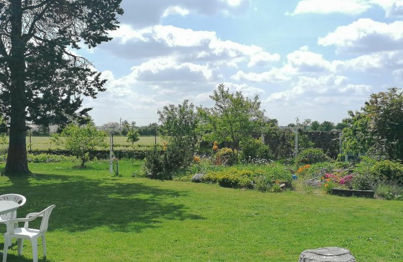 JARDIN