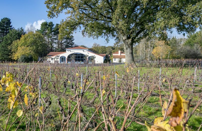 Jardin Cleray-Vignoble de Nantes (PhotoChLatard)-28