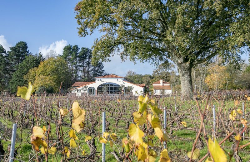 Jardin Cleray-Vignoble de Nantes (PhotoChLatard)-31