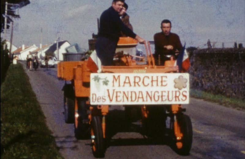 mémoire filmée de la viticulture en pays nantais