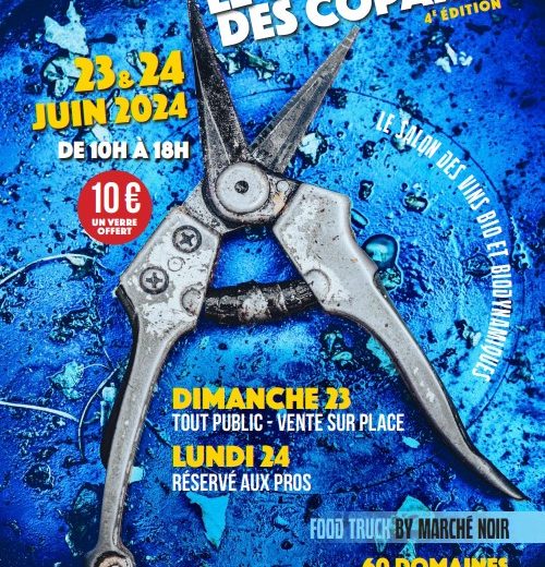 LeTempsdesCopains-Landreau_2024_levignobledenantes-tourisme.com
