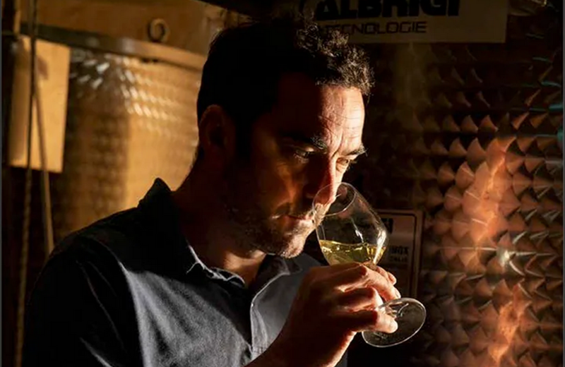 Les nouveaux vignerons bretons