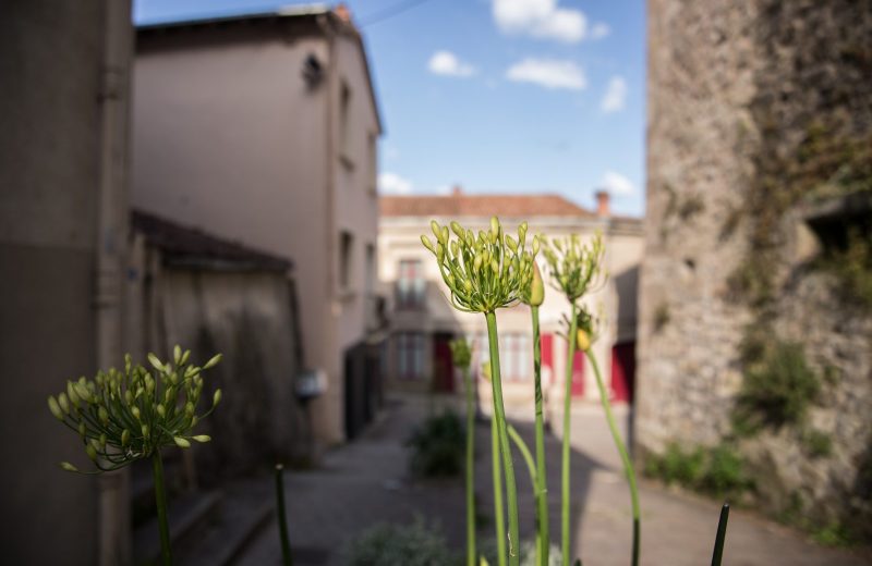 MAISON LUNEAU PAPIN CHATEAU BY PAULINE THEON  (8)