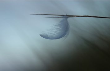 Minimalisme_Clisson_2025-DestinationVignobleNantais.com