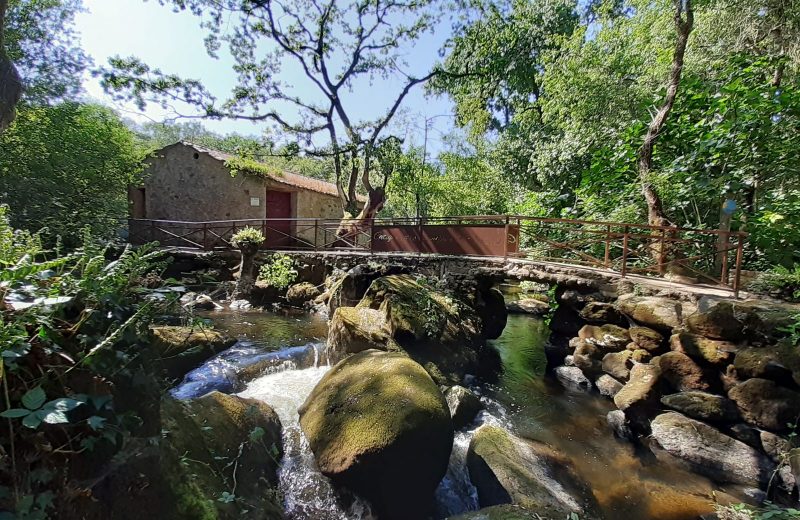 Moulin-à-foulon-Gîtes Moulin Neuf-Gétigné-44-levignobledenante