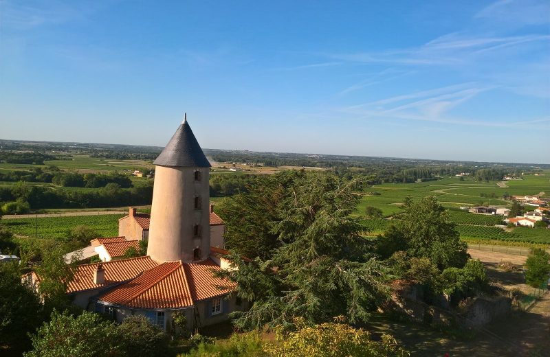 Moulin-du-Pe–vue–circuitdeshorizons-lelorouxbottereau-44-levignobledenantes-2