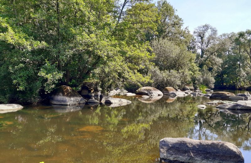 Grp de sevre et maine boucle du vignoble