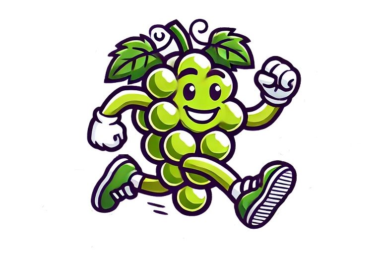 Muscadet-et-Running Club_2025_destination_vignoble_nantais