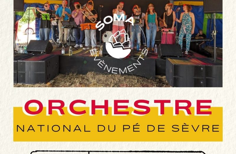 Copie de POST INSTA 4/5 CONCERT SOMA – 2