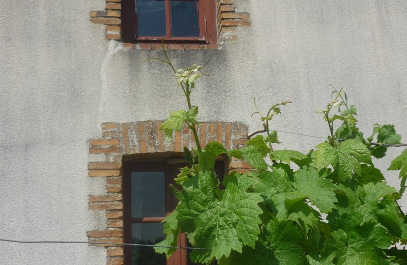 Notre caveau