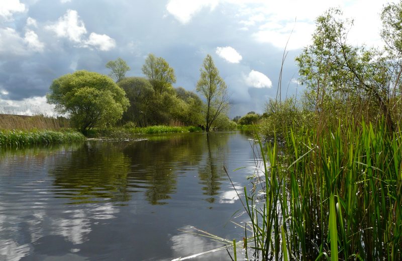 marais de goulaine