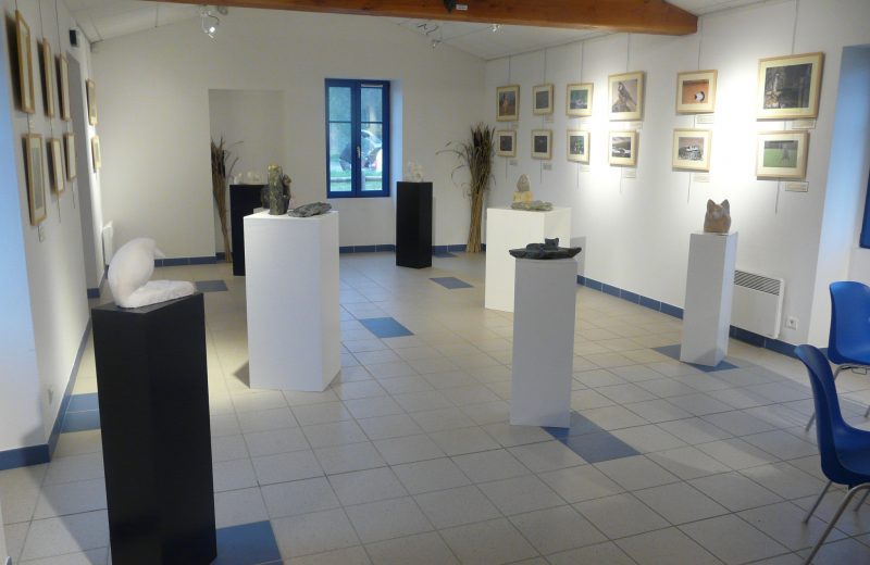 Salle exposition de la Maison bleue