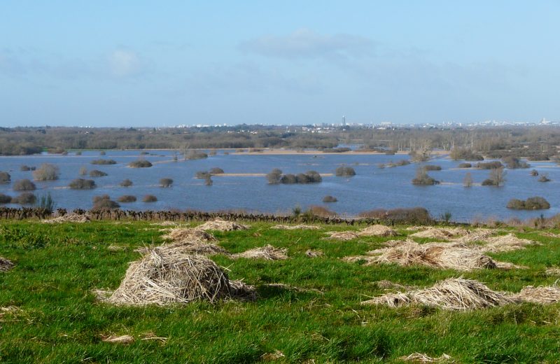 Butte de la Roche, panorama sur le marais.