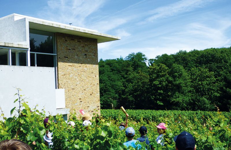 musee du vignoble nantais