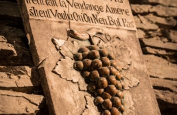 Pique-nique dans les vignes La Ragotière_LaRegrippière_2025_DestinationVignobleNantais.com
