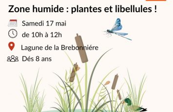 Plantesetlibellules_Clisson_2025_DestinationVignobleNantais.com