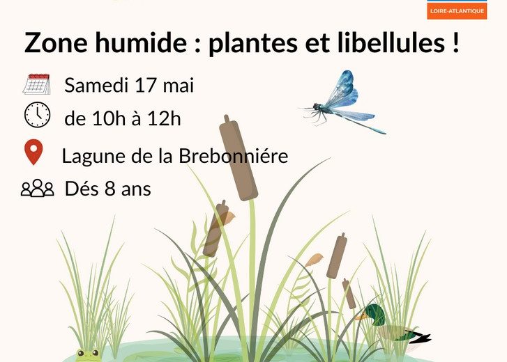Plantesetlibellules_Clisson_2025_DestinationVignobleNantais.com