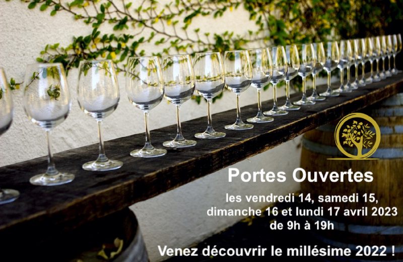 wine glasses in a row