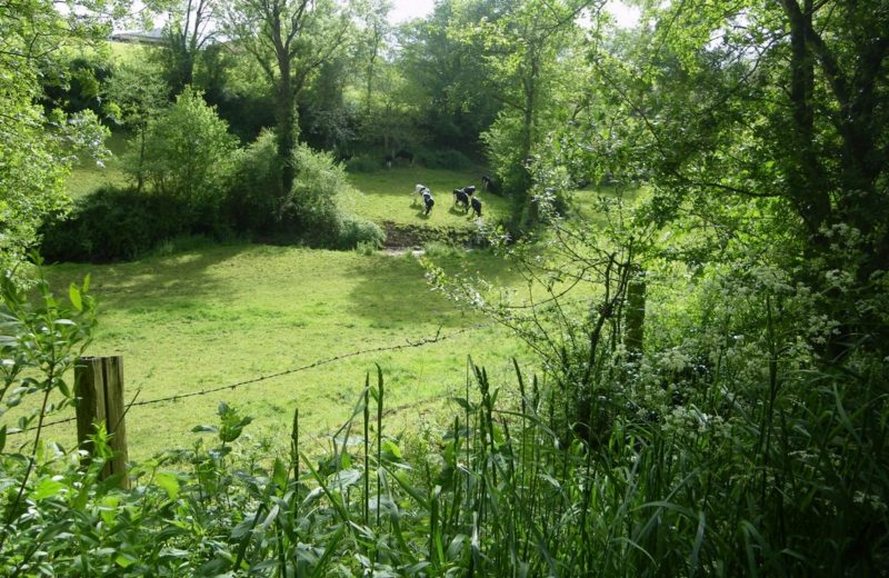 Prairies du Douet Boucle de la Maine