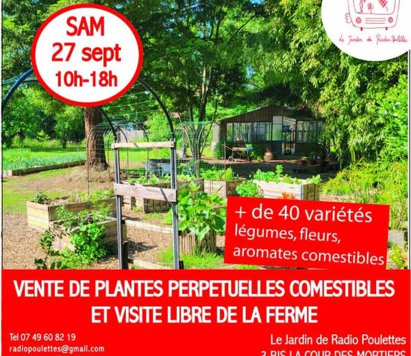 Radio poulettes