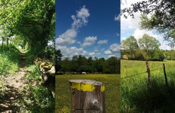 Rando8mai_LaRemaudière_2025_DestinationVignobleNantais.com