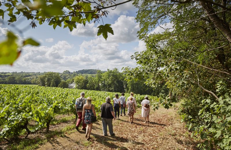 Randonnée champêtre et déjeuner au Château du Coing