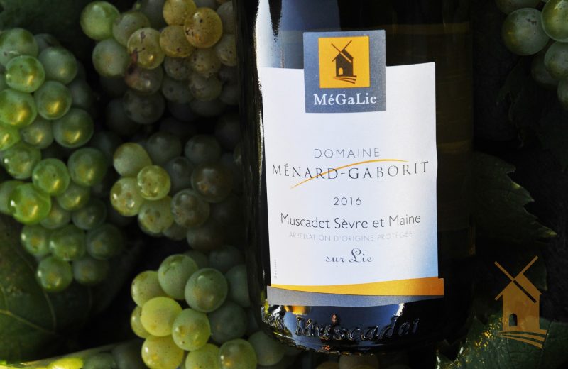 Reaps et degustation au domaine Ménard-Gaborit  Le vignoble de Nantes
