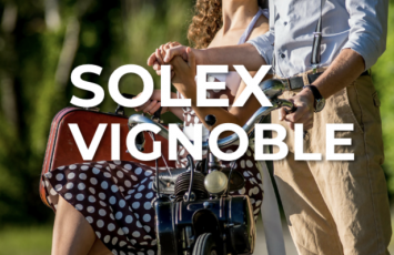 Redi solex vignoble