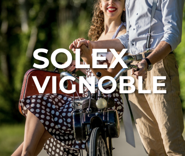 Redi solex vignoble