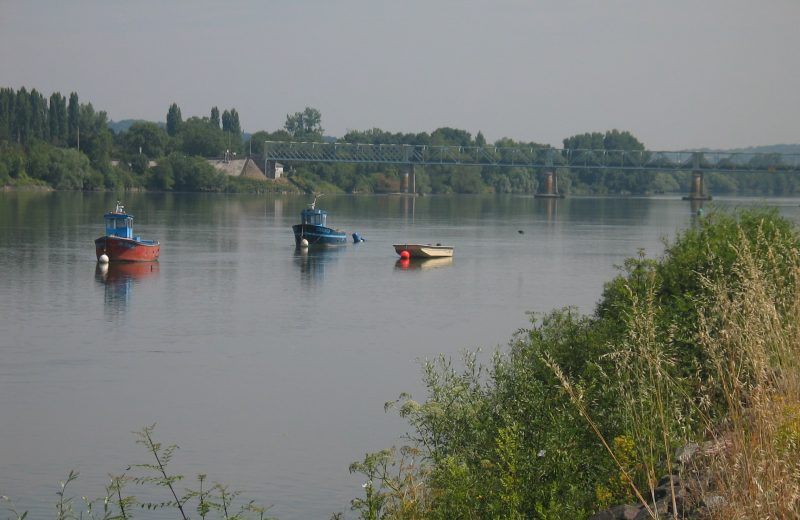 La Loire St Julien de Concelles