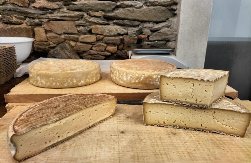 TOMME SAINTE CATHERINE