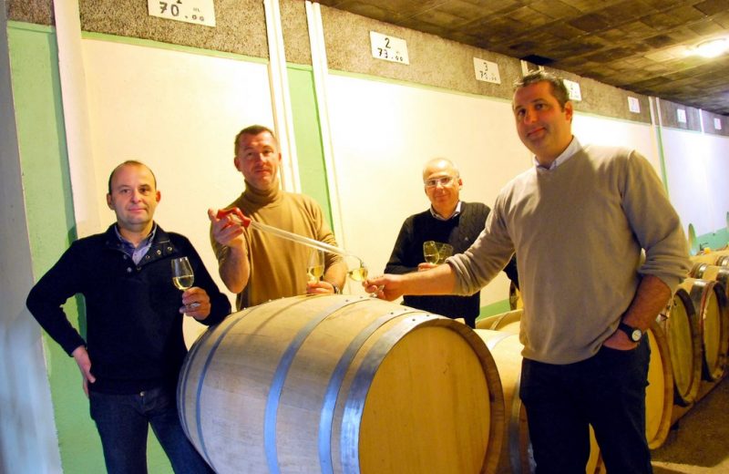 VIGNOBLE DROUARD CHATEAUT THEBAUD 2014GT-domainedela-noe–chateauthebaud-44-affiche-terroir-domaine-4-freres