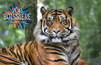 ZOO DE LA BOISSIERE DU DORE