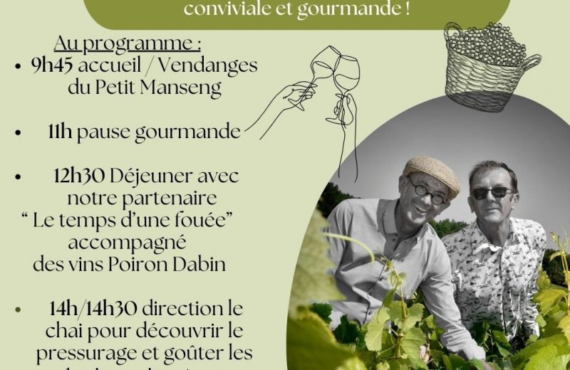 Vendanges au Domaine Poiron Dabin