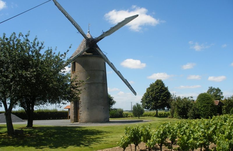 aire-pique-nique-moulin-guillou-tillières-sevremoine-anjou-nantes-cholet-vigne