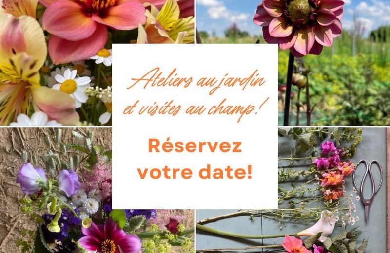 animationleriredesfleurs-2024-levignobledenantes-tourisme