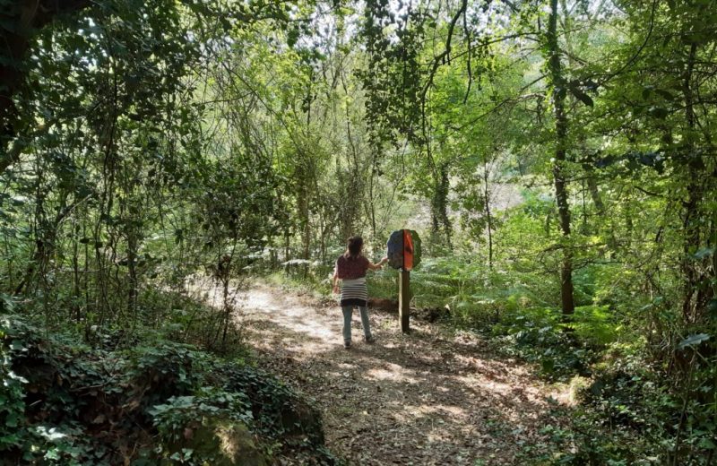 murmures-rochers-arbres-palabres-levignobledenantes-tourisme