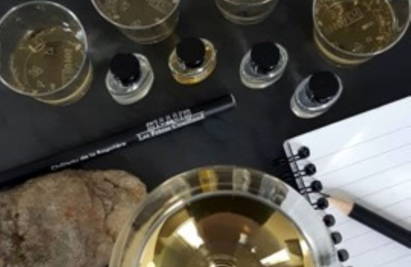 voyageautourdescepageschateauragotiere-2024-levignoblesdenantes-tourisme
