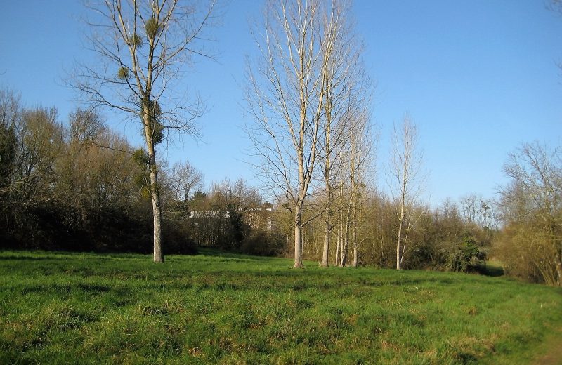 357956 – ballade
